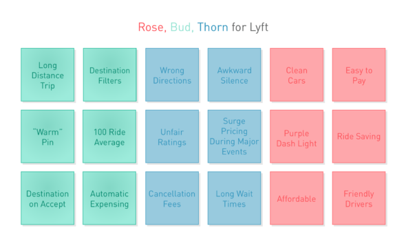Example of a rose, bud, thorn exercise
